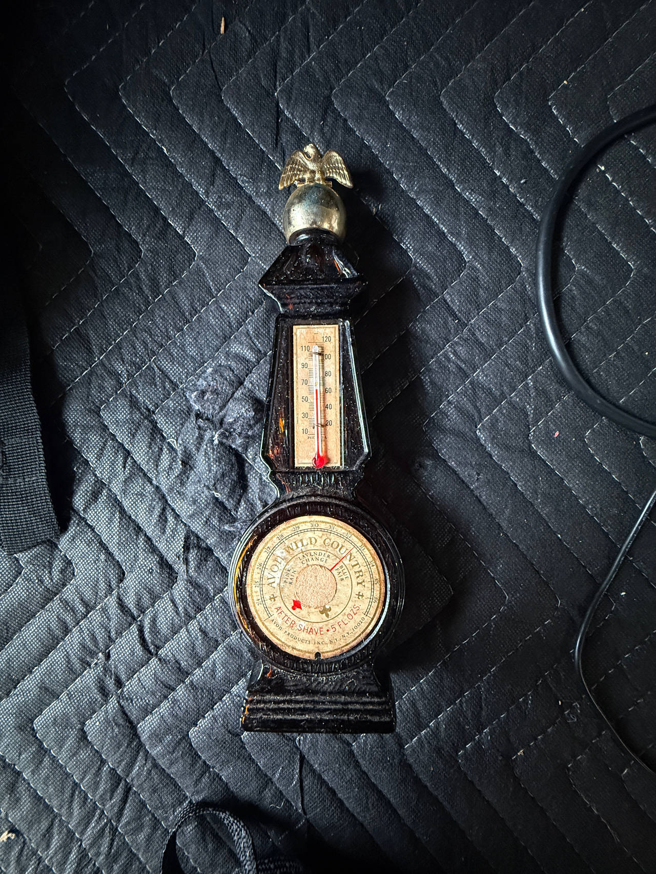 Avon Wild Country Weather Station After Shave Bottle