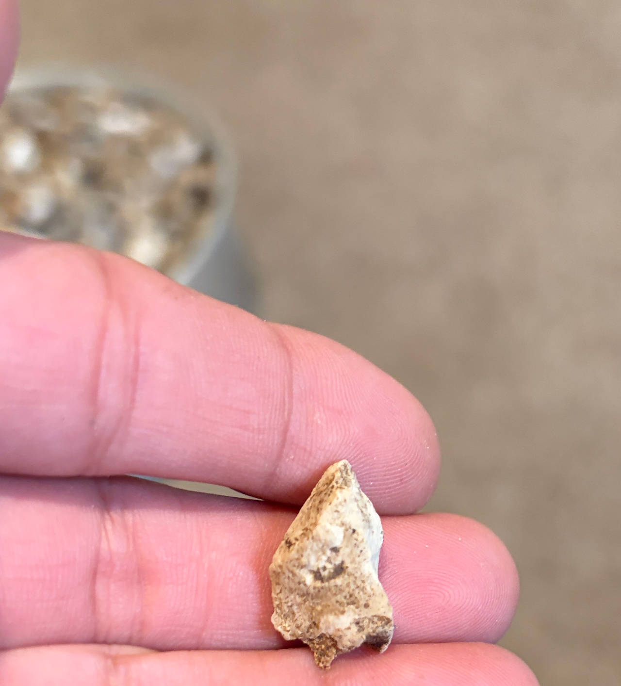 Native American Arrowhead Bird Point