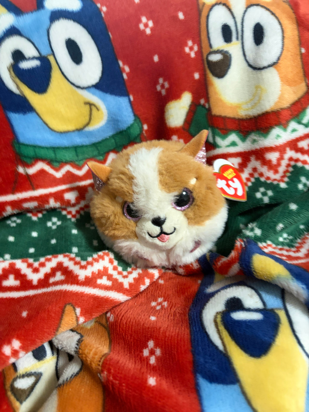 Ty Puffies Miso the Cat