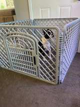 North States MyPet Petyard Passage 6-Panel Dog Playpen with Door - Image 5