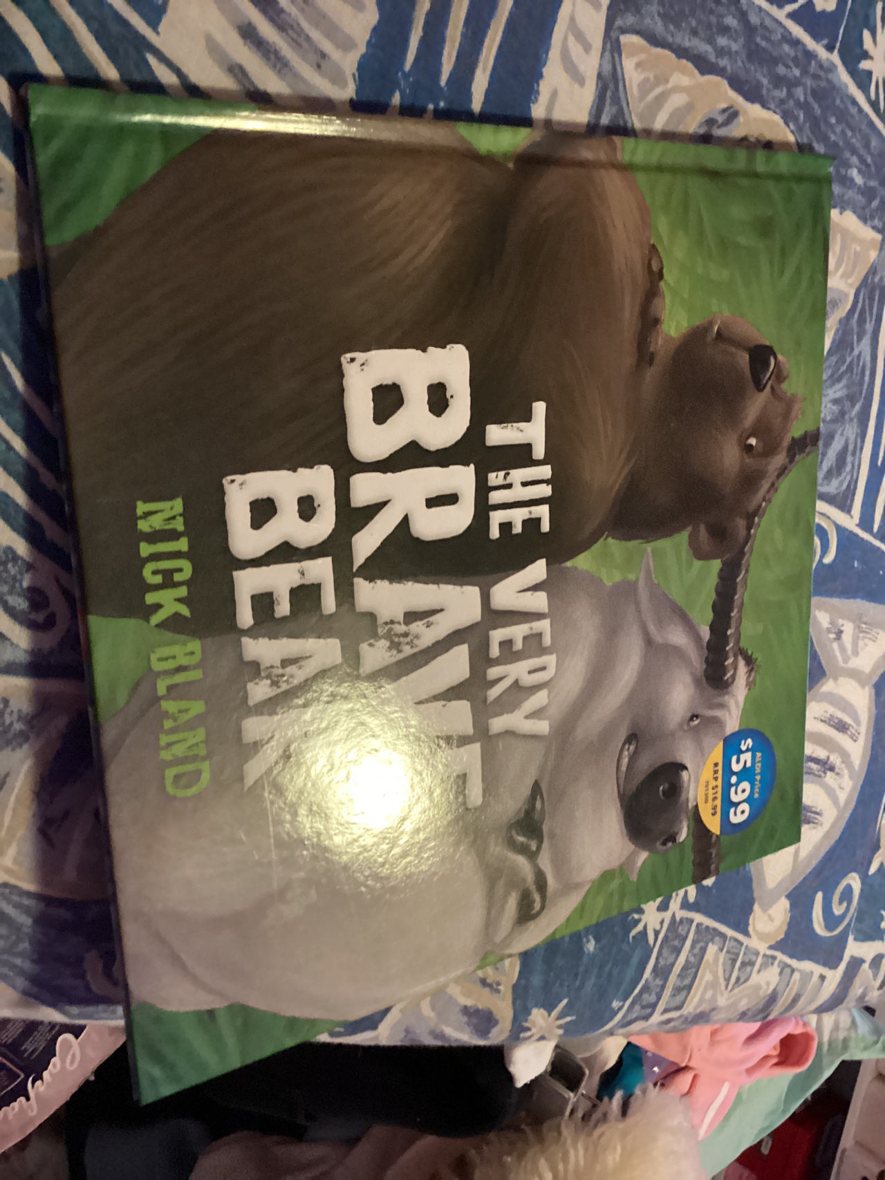 The Very Brave Bear