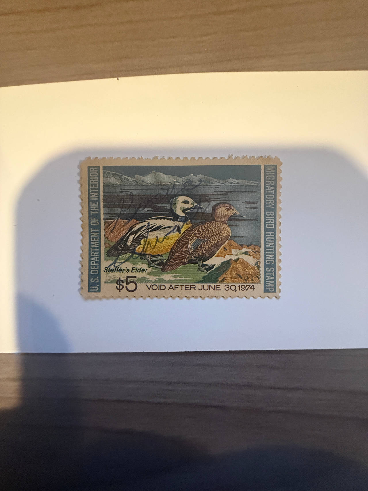 1973-1974 $5 Steller's Eider Migratory Bird Hunting Stamp artist signed CV$250