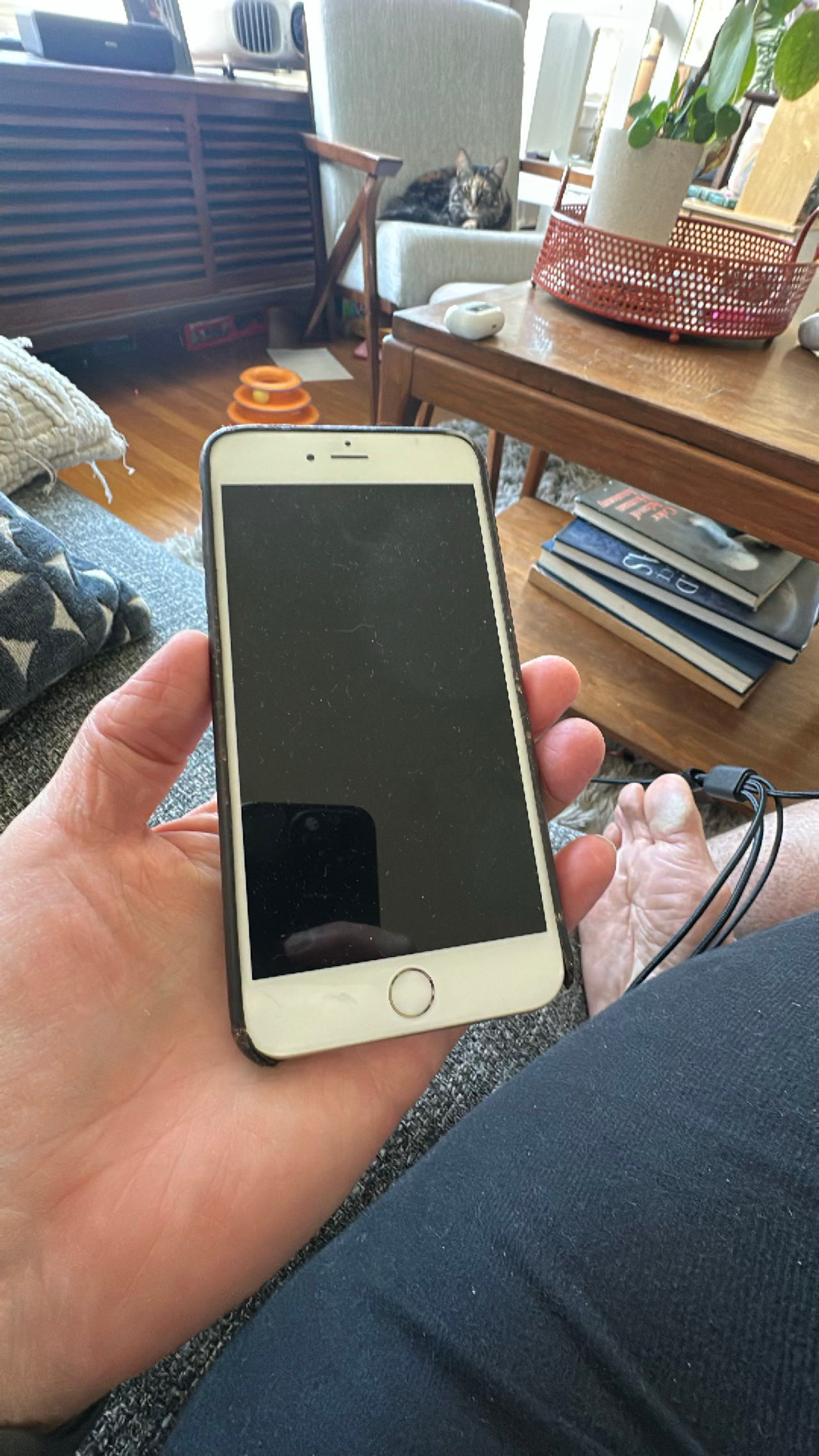 iPhone 6 Plus