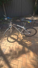 Mountain Bike - Image 1