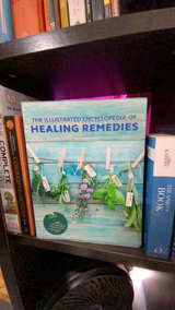 The Illustrated Encyclopedia of Healing Remedies - Image 2