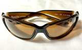 Ignite EV0975-229 Sunglasses - Image 1