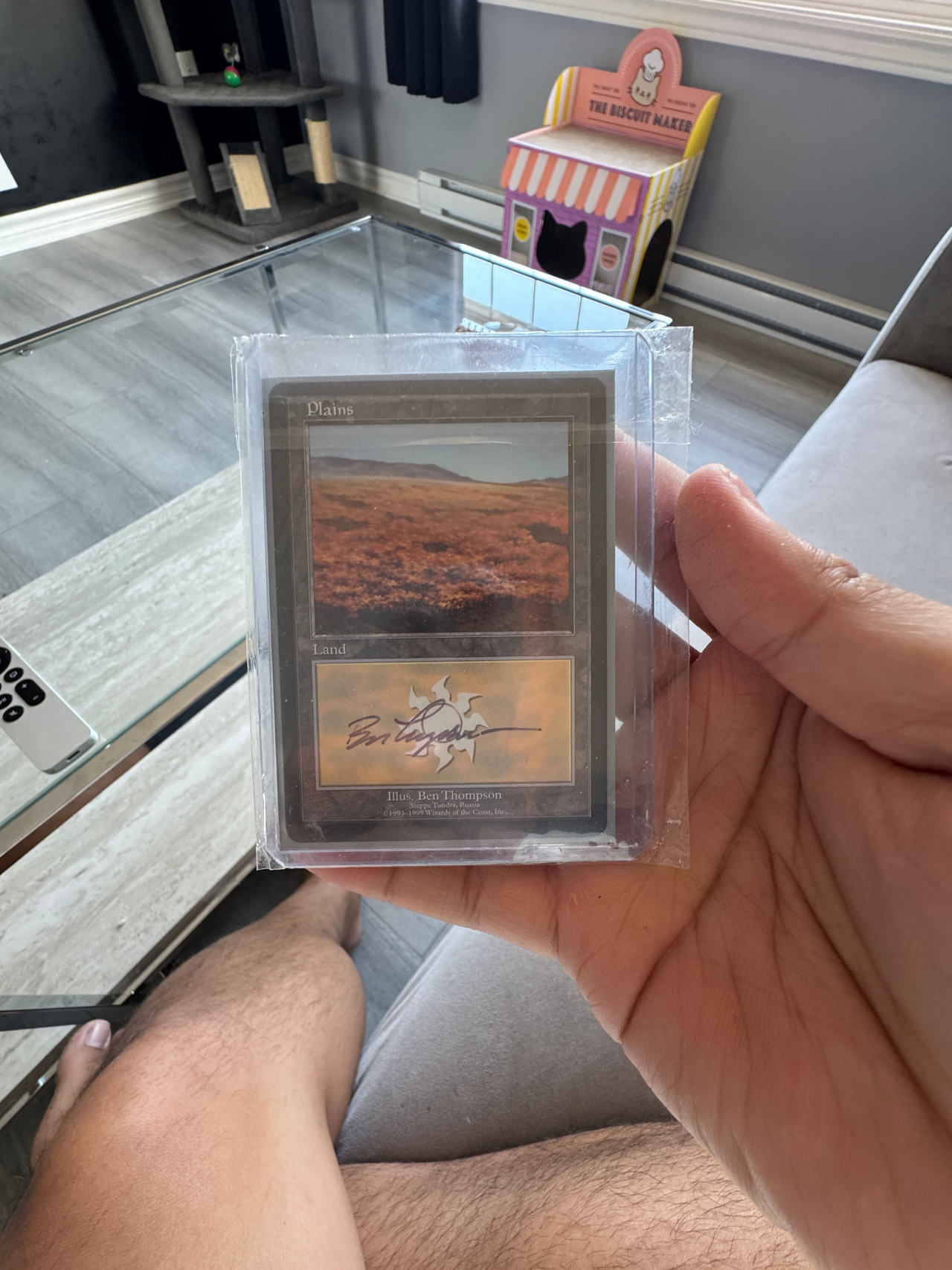 Magic: The Gathering Revised Edition Plains (Signed)