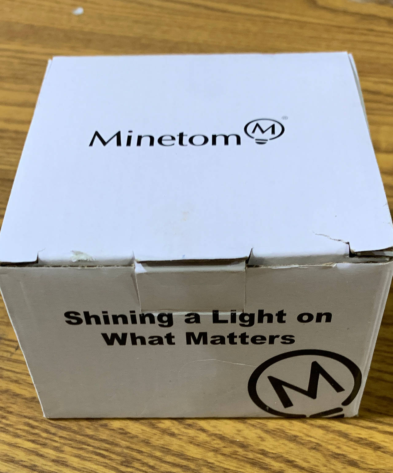 Minetom Outdoor Globe String Lights