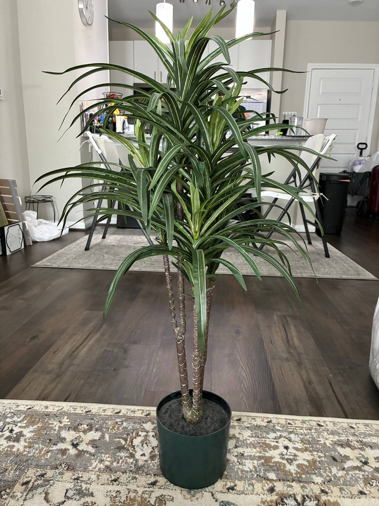 Artificial Dracaena Corn Plant - 3 Ft