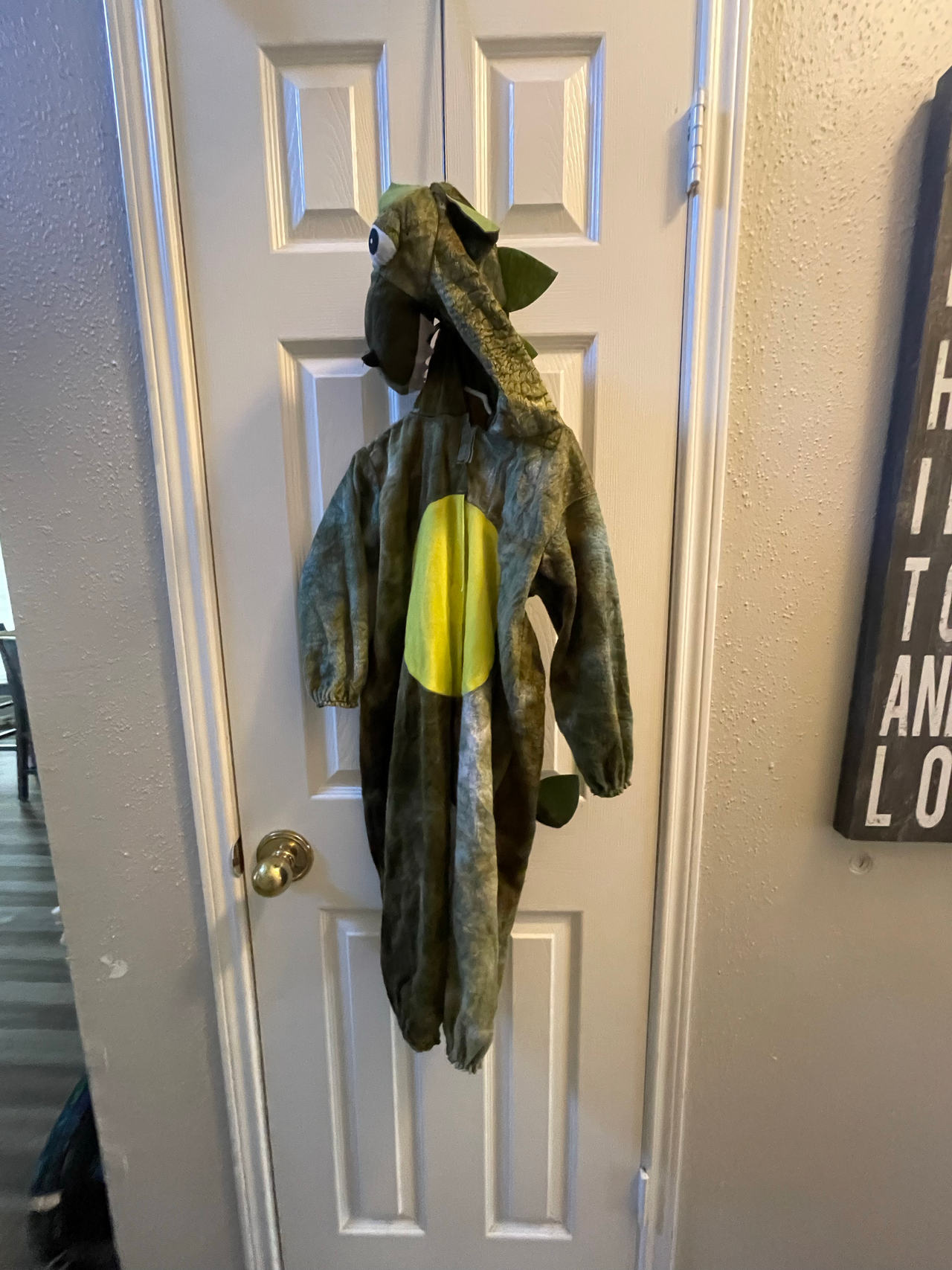 Kids Dinosaur Costume