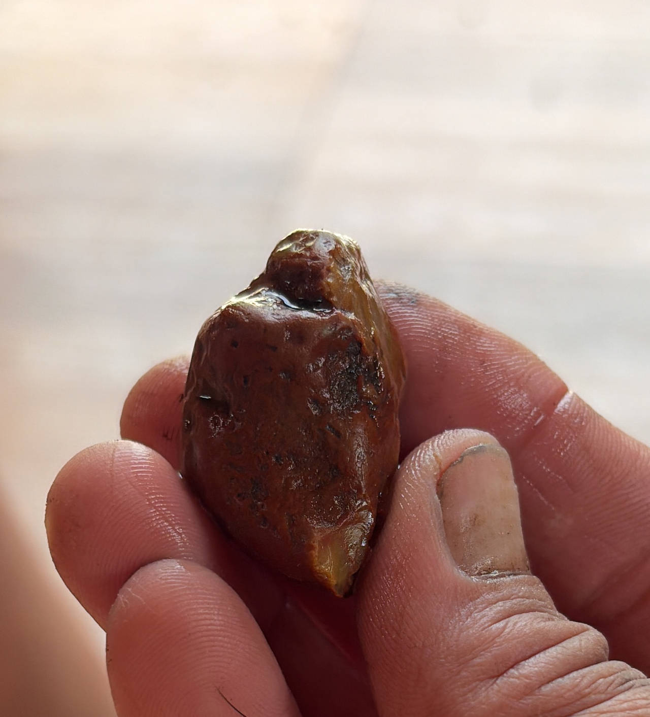 Raw Amber Specimen
