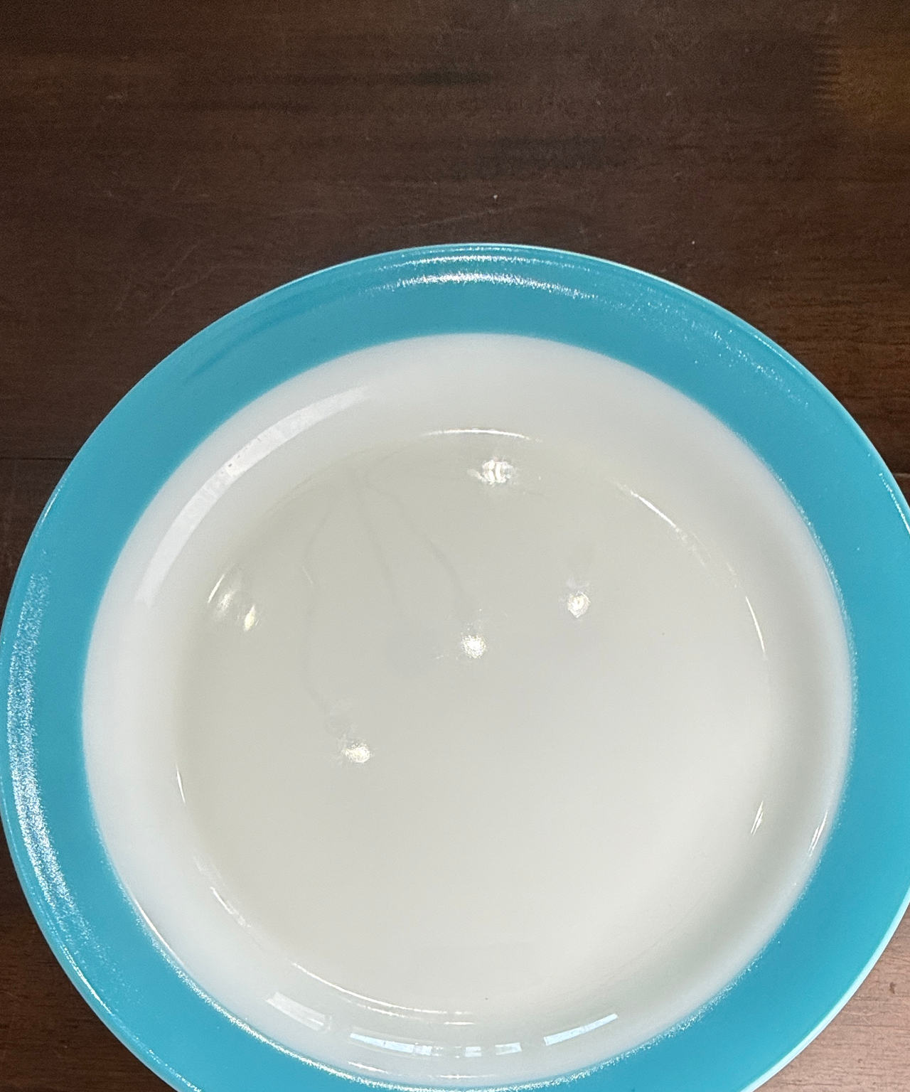 Set of 4 Vintage Pyrex Turquoise Band 12" Milk Glass Buffet Plates