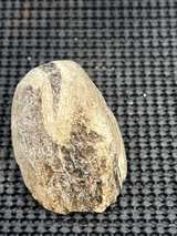 Petrified Wood Slab Natural Fossil - Image 7