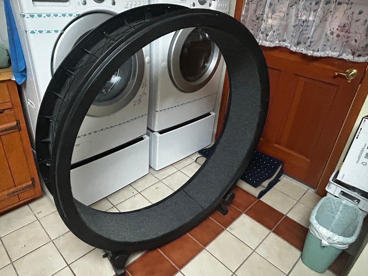 One Fast Cat Exercise Wheel