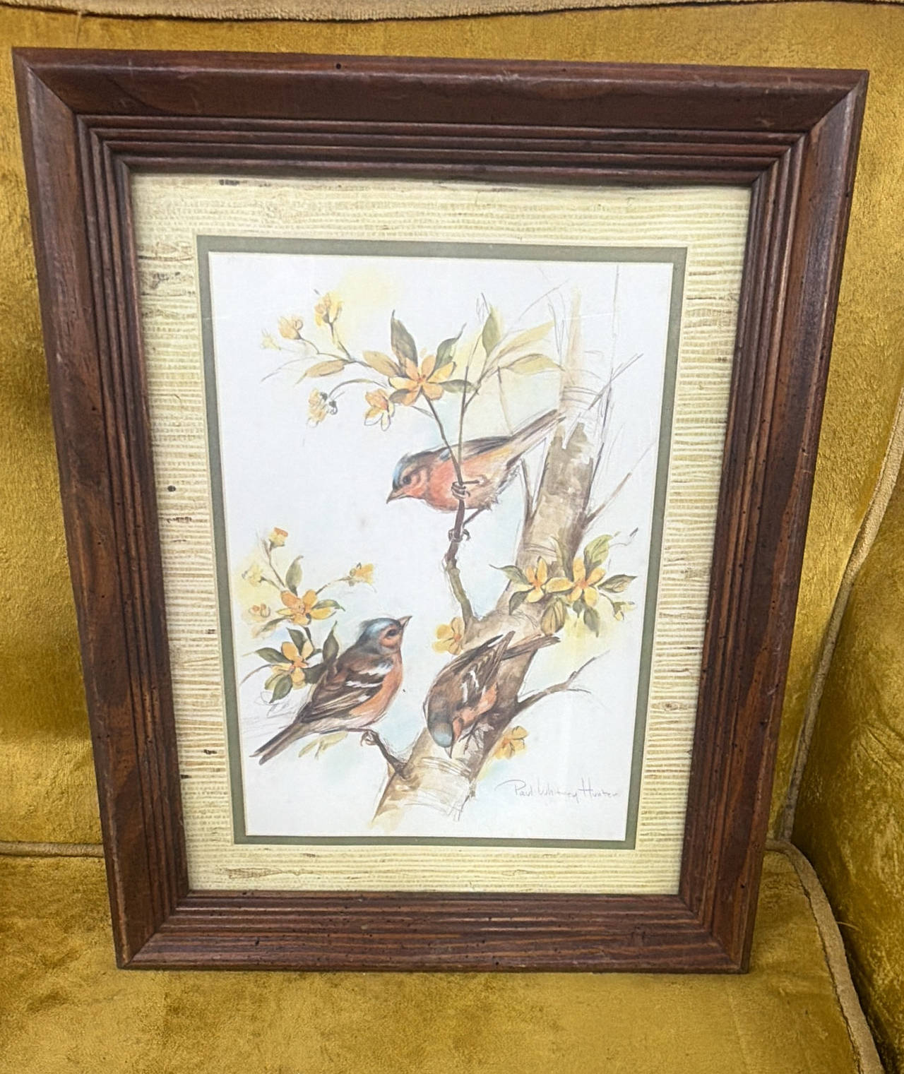 Paul Whitney Hunter Framed Bird Print