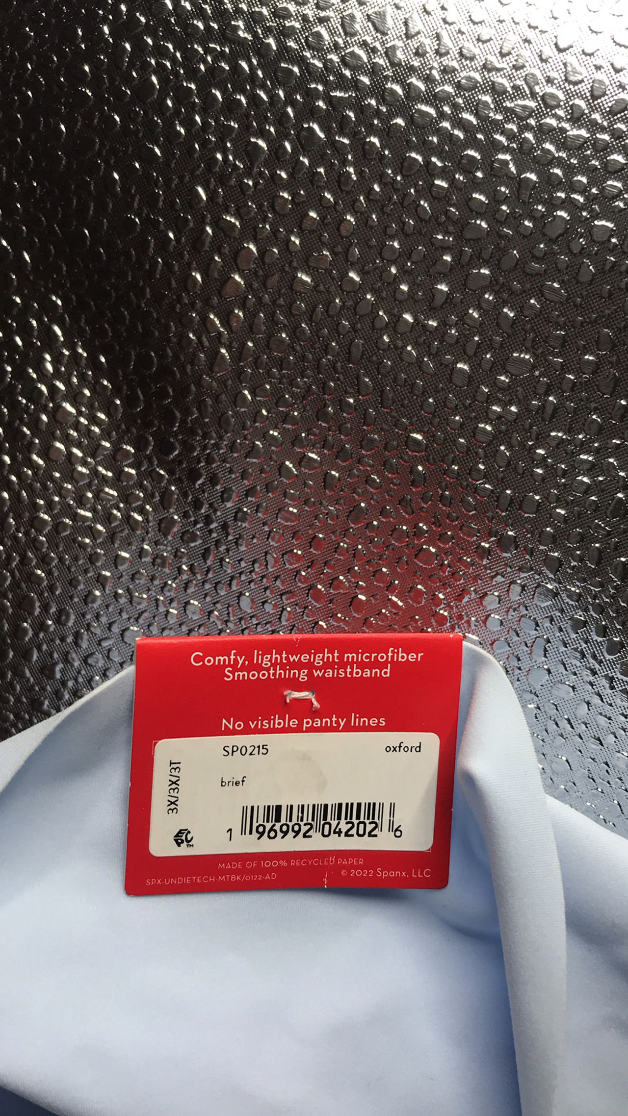 Spanx Brief Panty