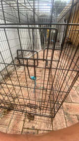 Wire Dog Crate - Image 3