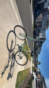 Giant Cypress W - Image 2