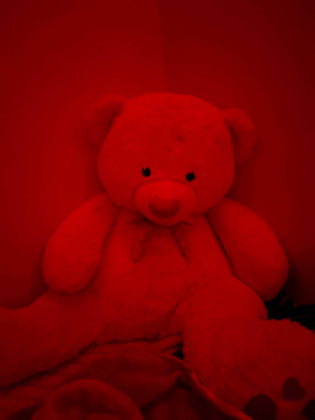 Red Plush Teddy Bear