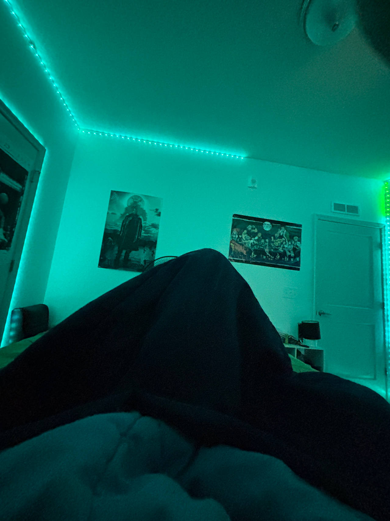 LED Strip Lights