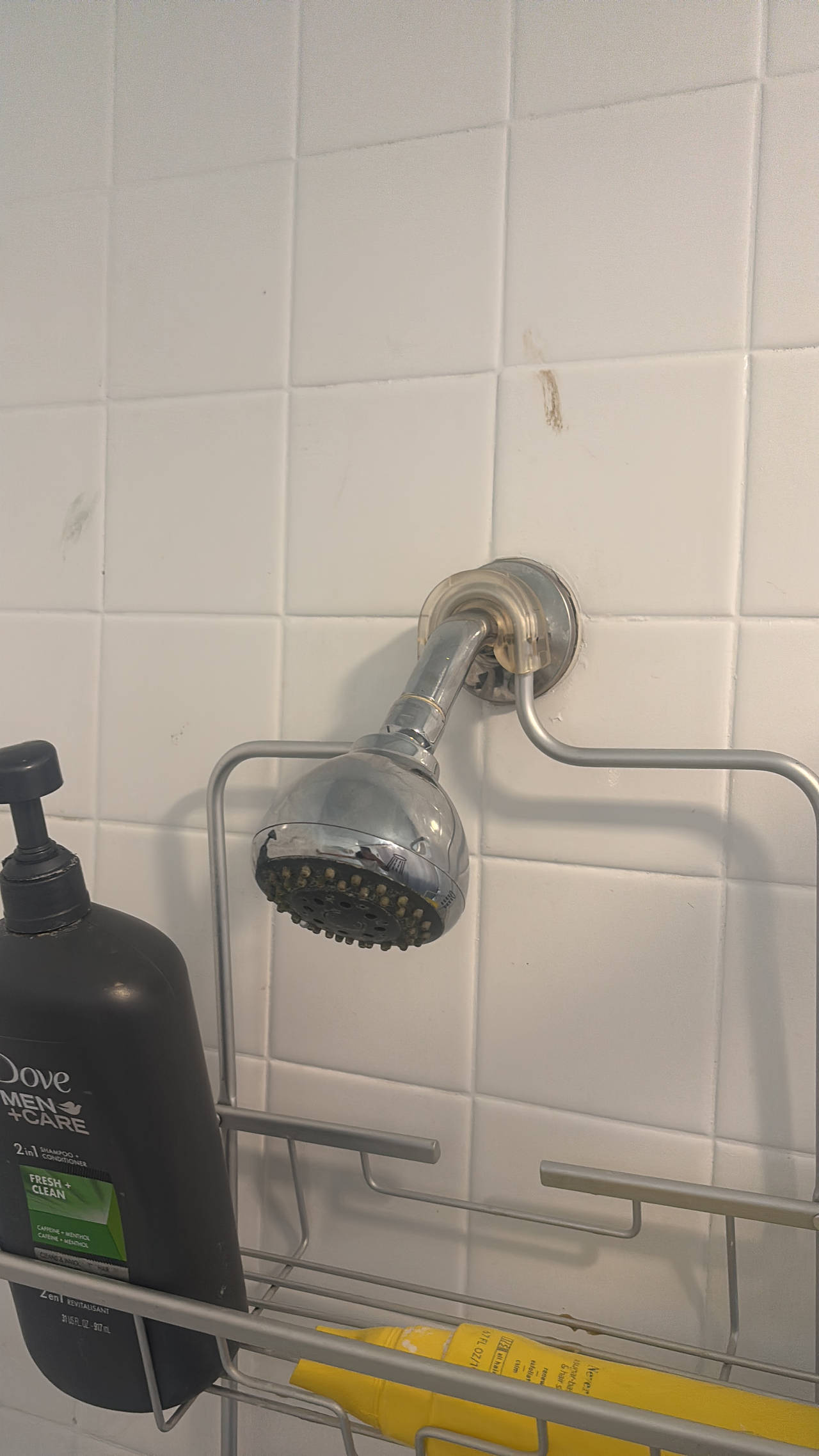 Fixed Shower Head
