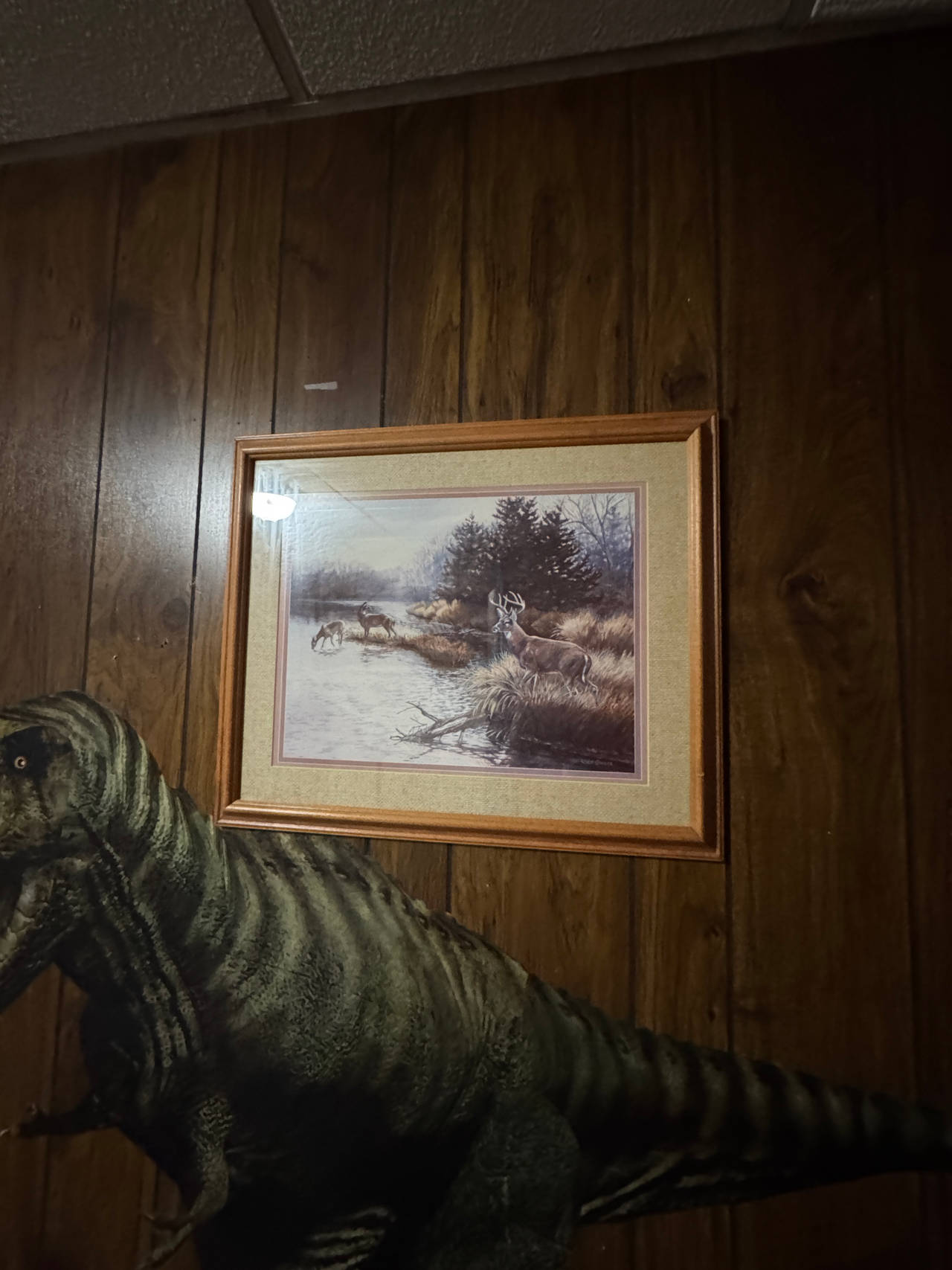 Framed Deer Wildlife Art Print