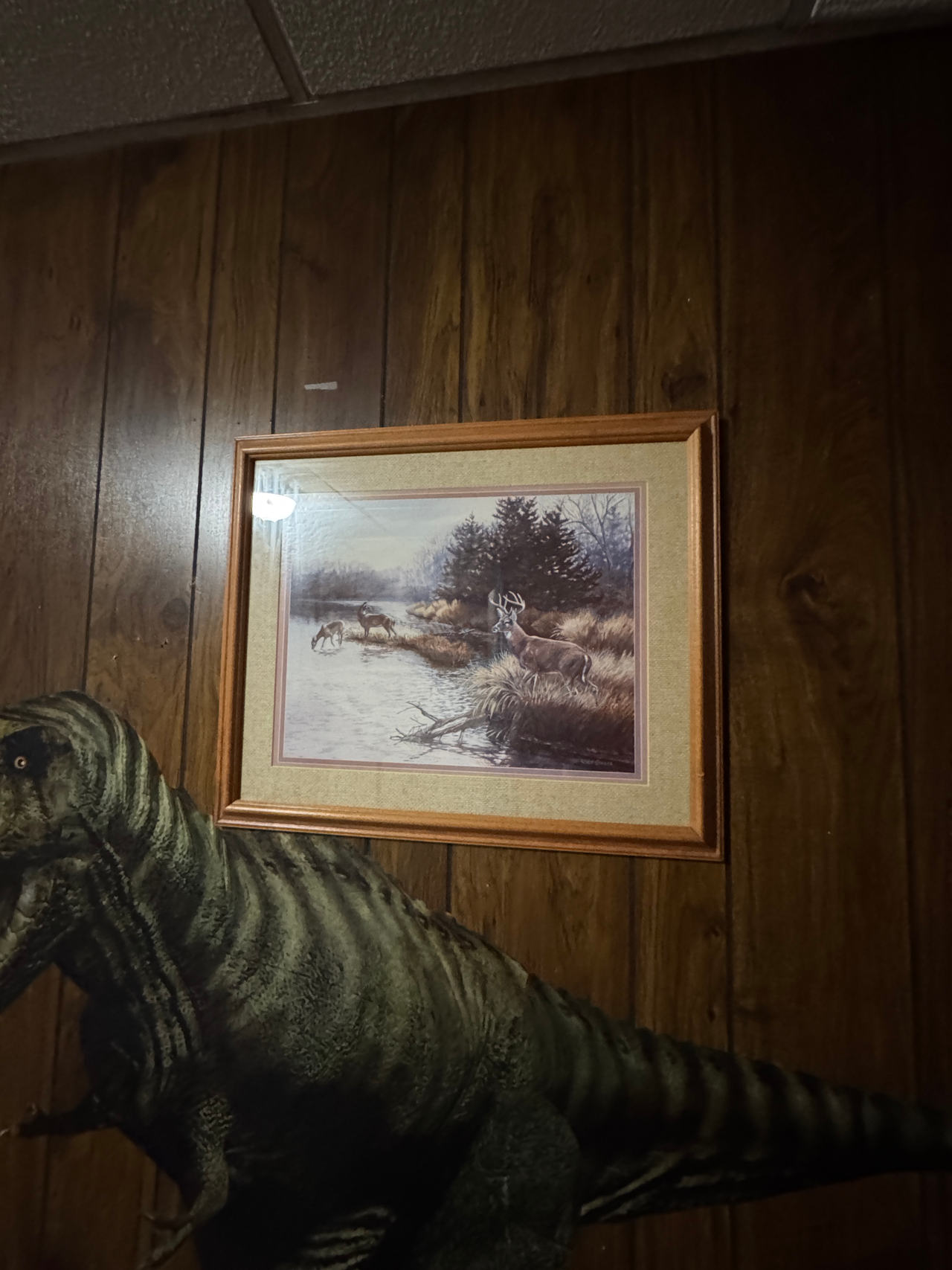 Framed Deer Wildlife Art Print