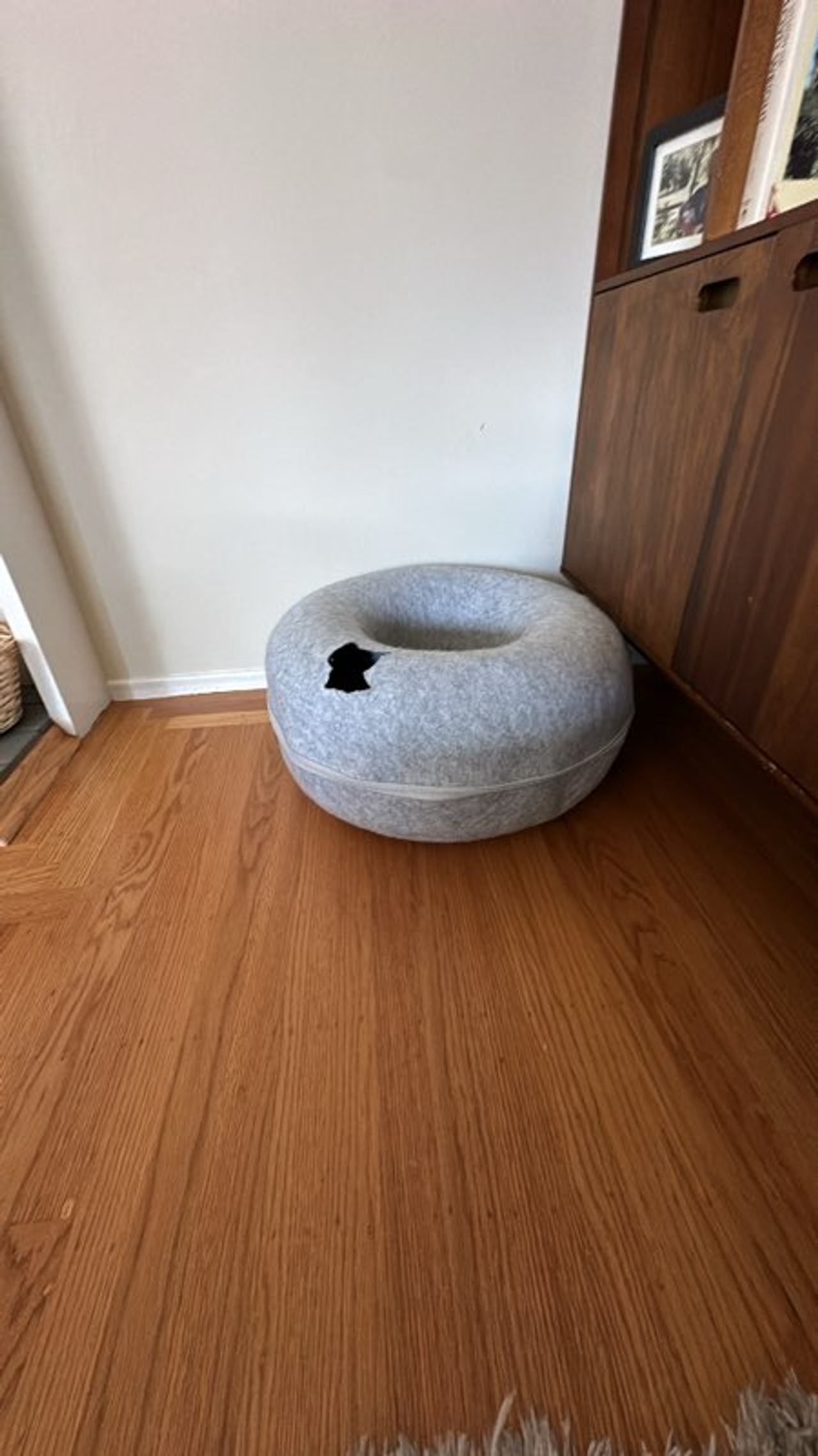 Cat Bed