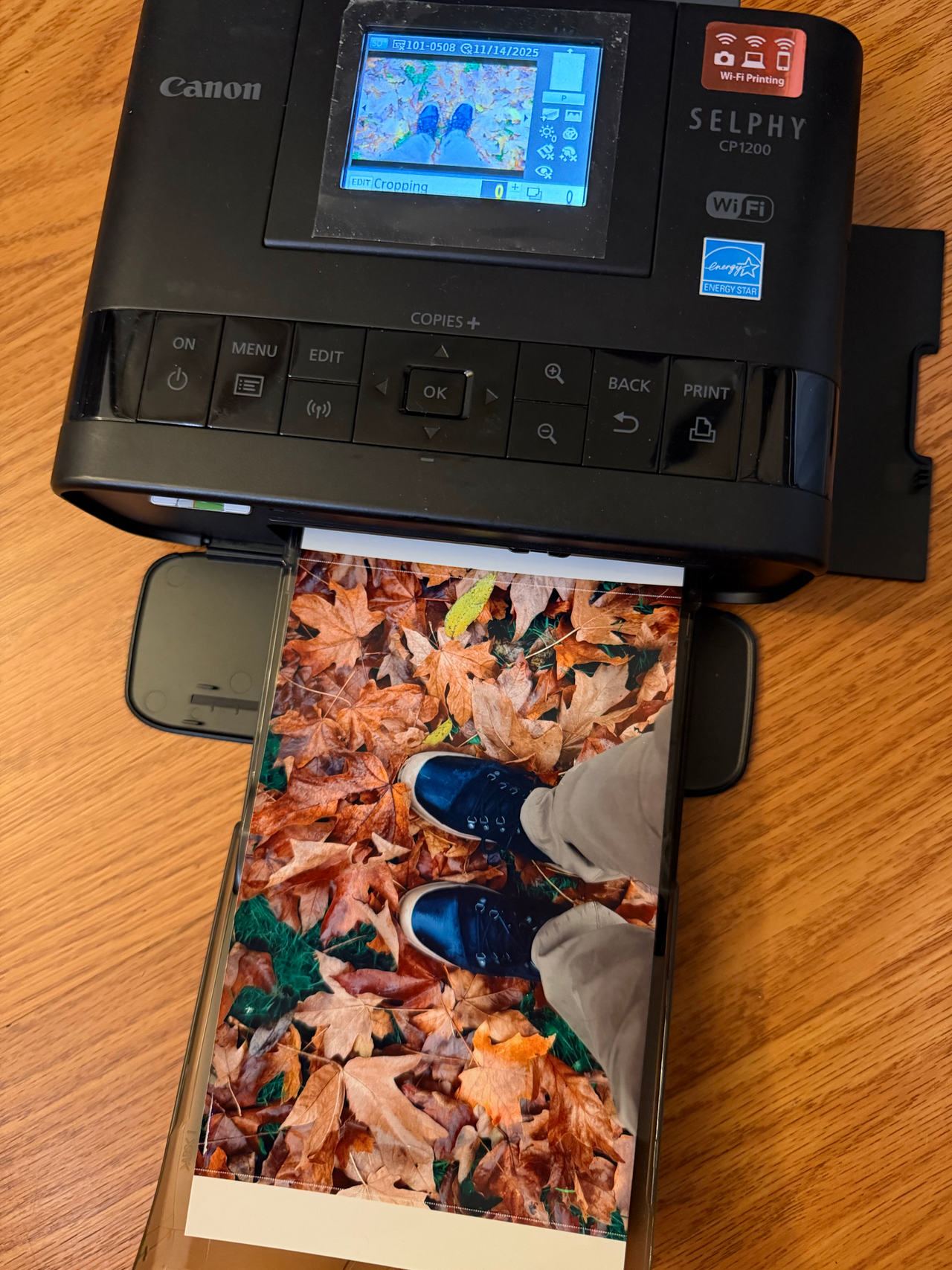 Canon SELPHY CP1200 Wireless Compact Photo Printer