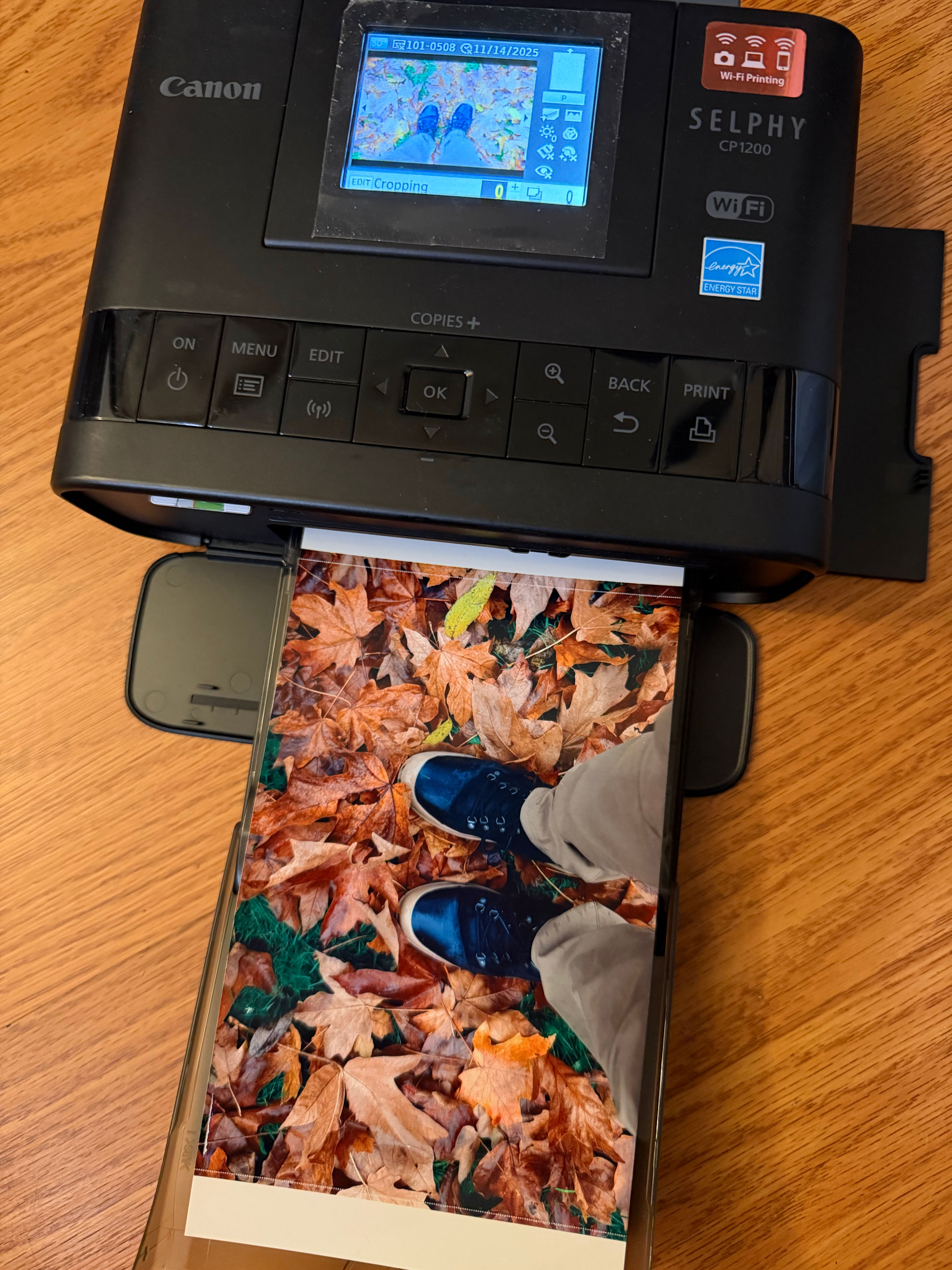 Canon SELPHY CP1200 Wireless Compact Photo Printer