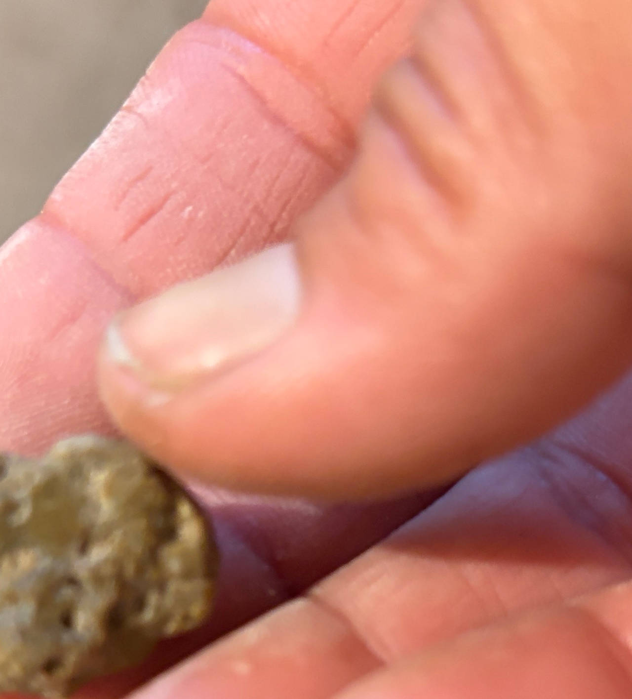 Natural Raw Gold Nugget