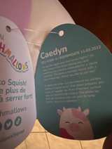Squishmallows Caedyn the Cow Plush - Image 3