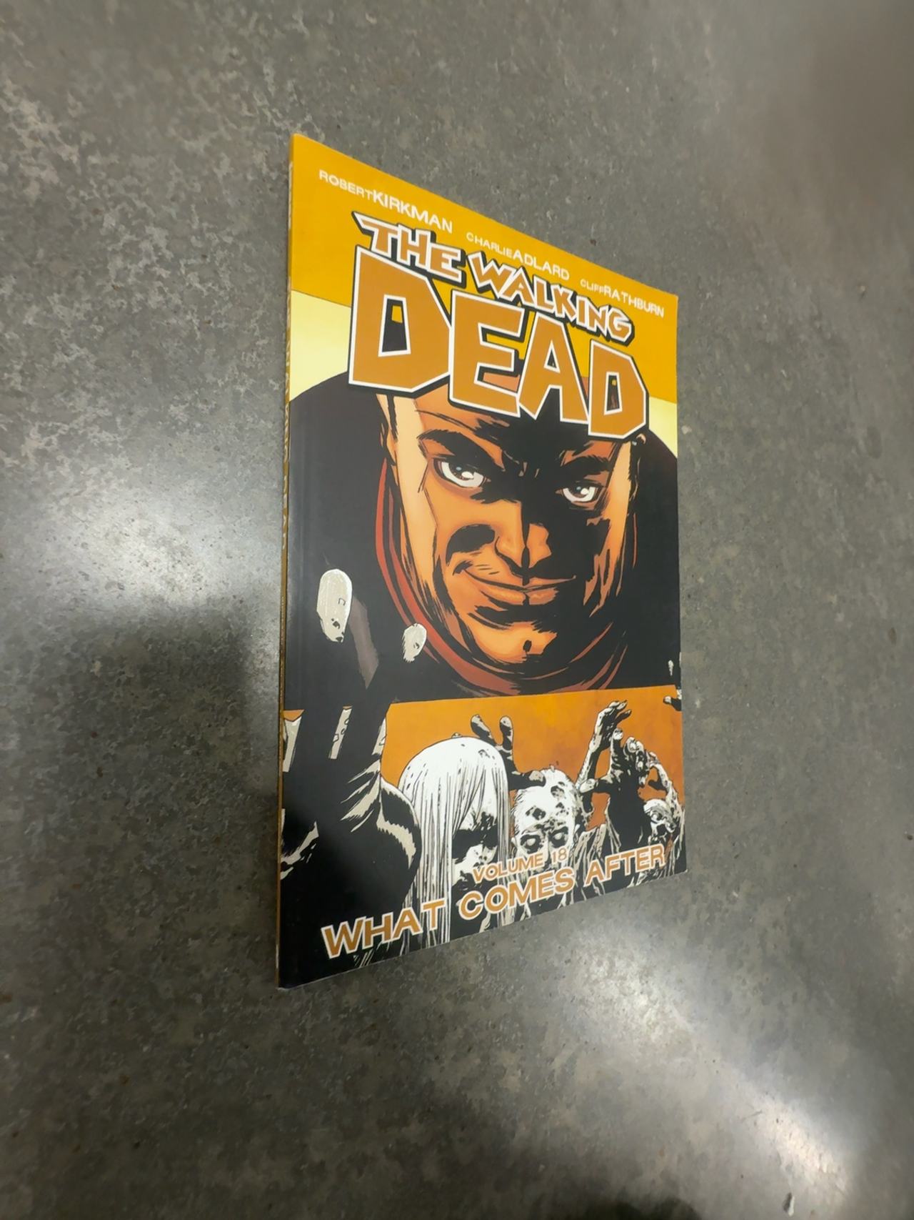 The Walking Dead Volume 18 Paperback