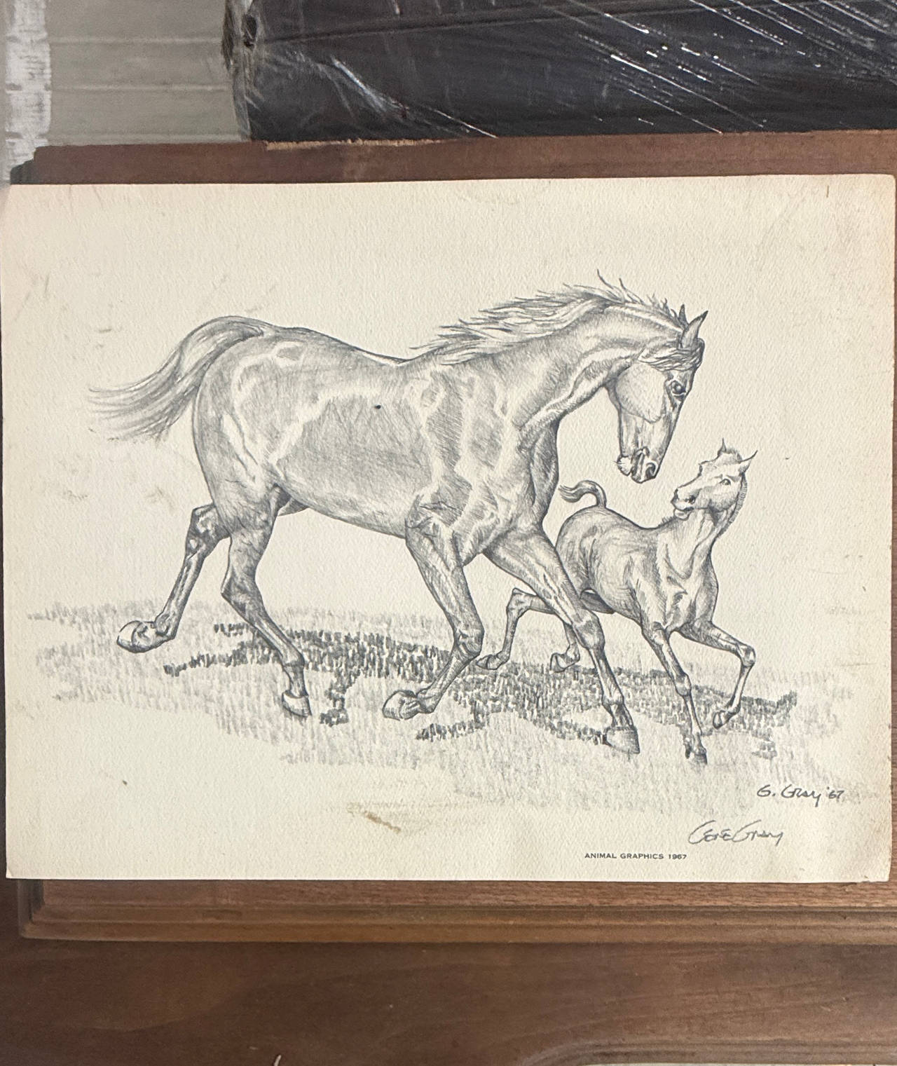 Gene Gray Horse and Foal Print 1967