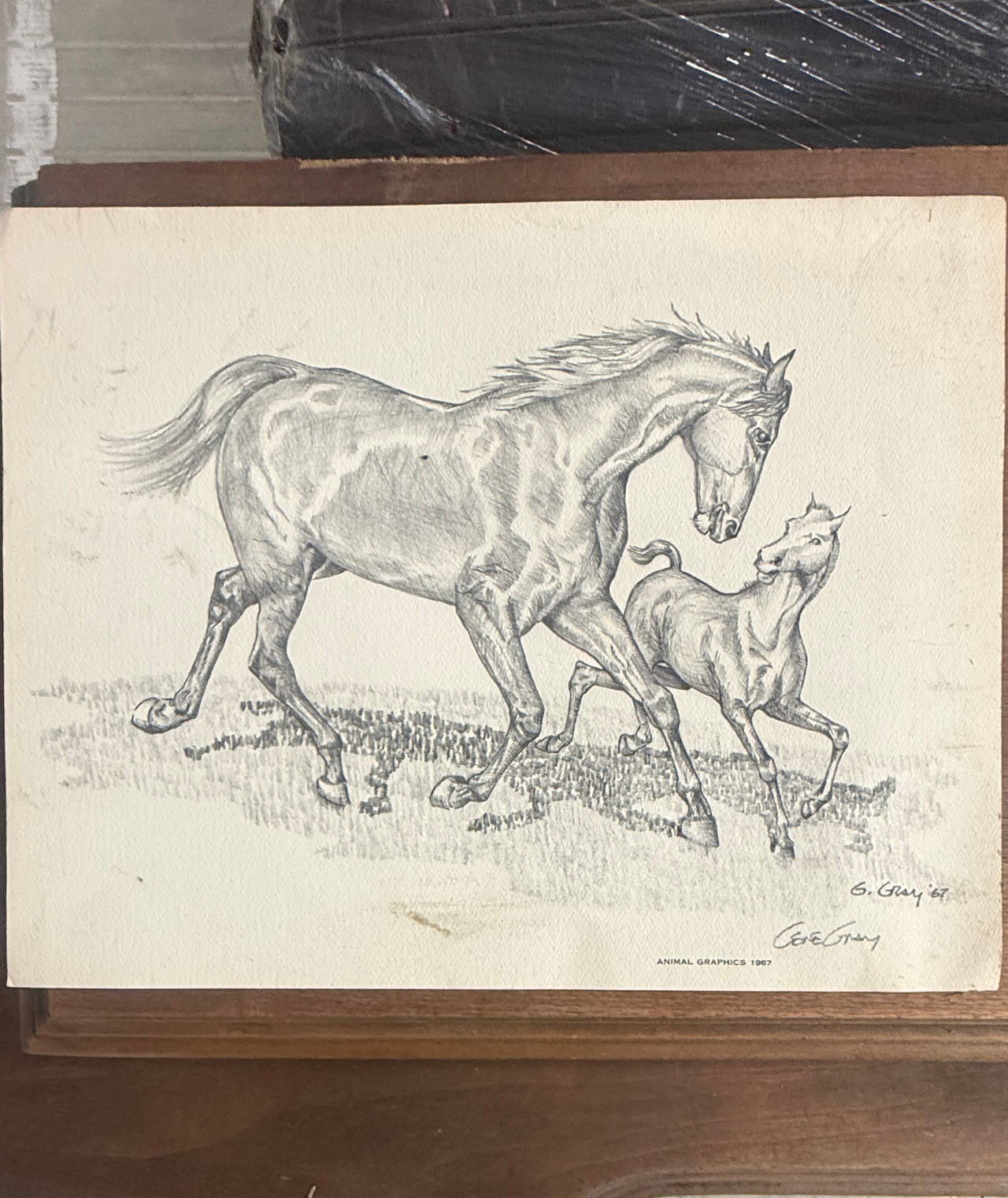 Gene Gray Horse and Foal Print 1967