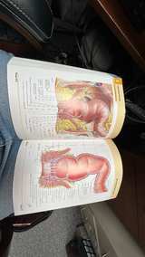 Atlas of Human Anatomy by Frank H. Netter, MD (5th Edition) - Image 6