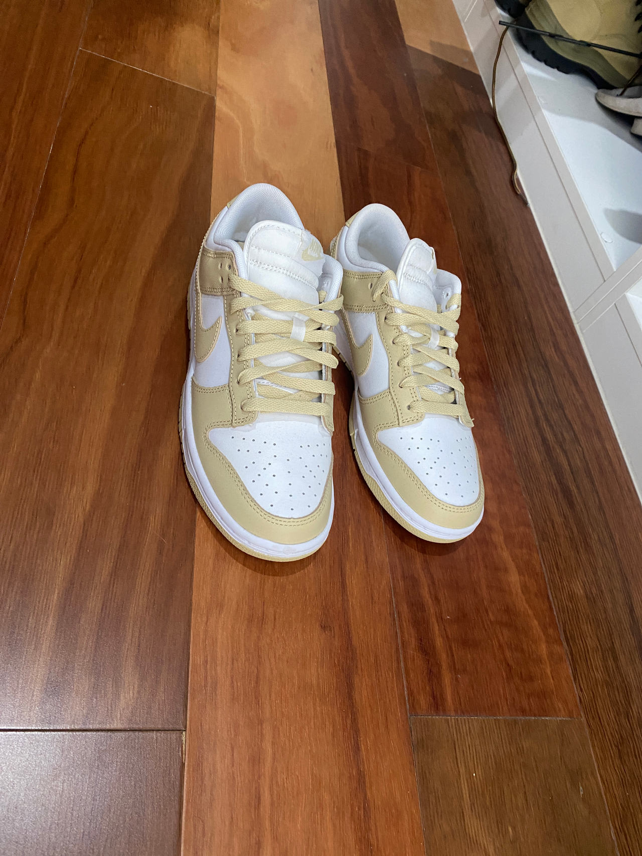 Nike Dunk Low