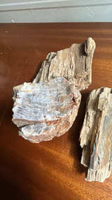 Petrified Wood Fossil Display Piece - Image 4