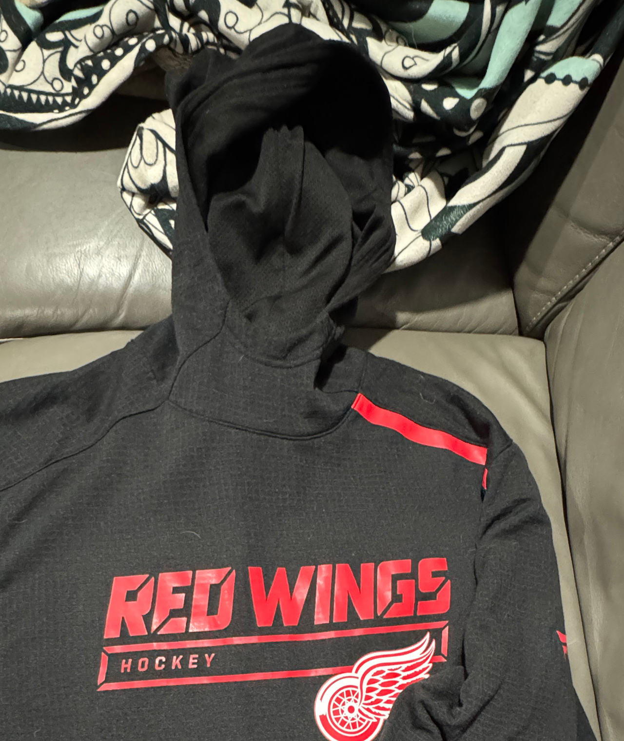 Detroit Red Wings Hockey Hoodie size 3XL