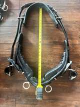 Horse Collar Harness & Hames Set - Image 4