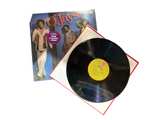 The O'Jays - Identify Yourself Vinyl LP - Image 2