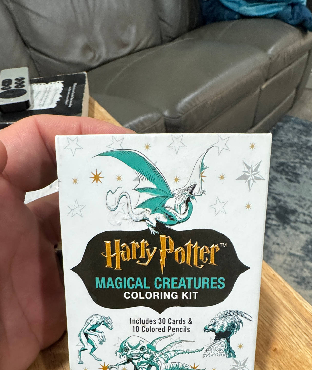 Harry Potter Magical Creatures Coloring Kit (RP Minis)