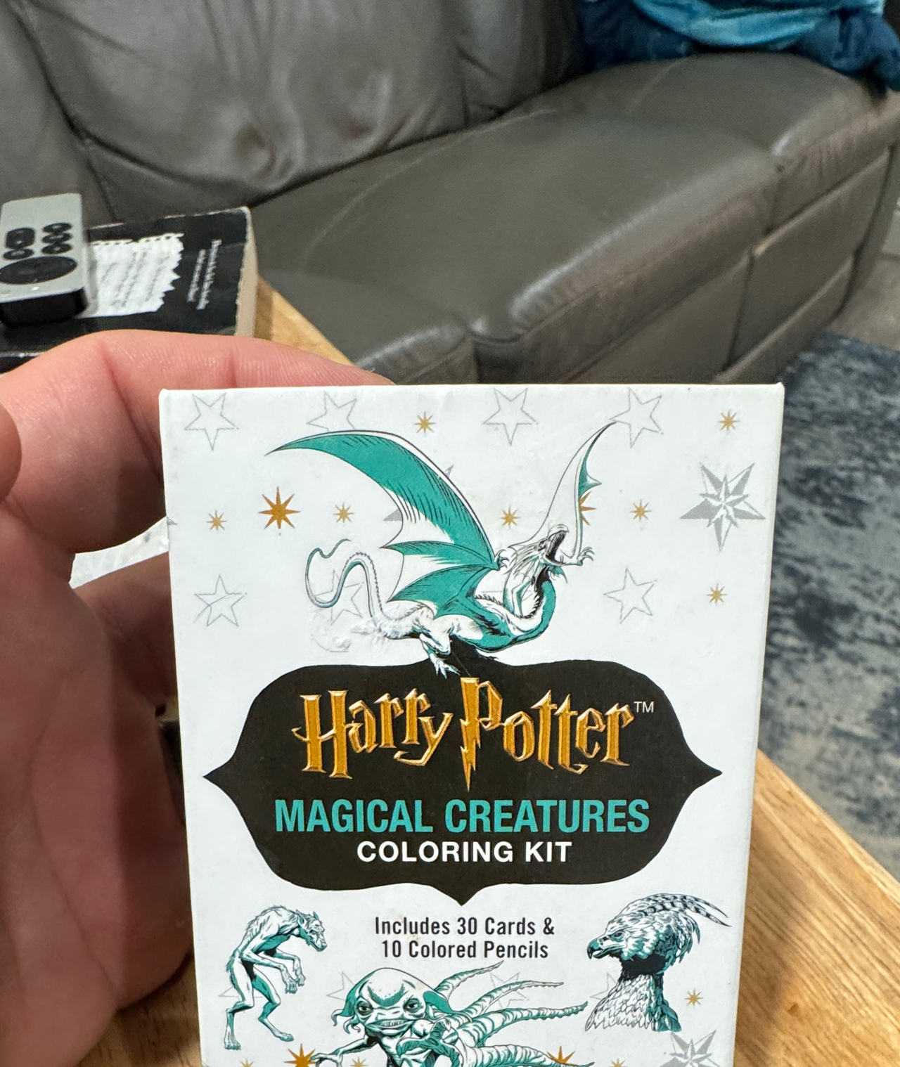 Harry Potter Magical Creatures Coloring Kit (RP Minis)