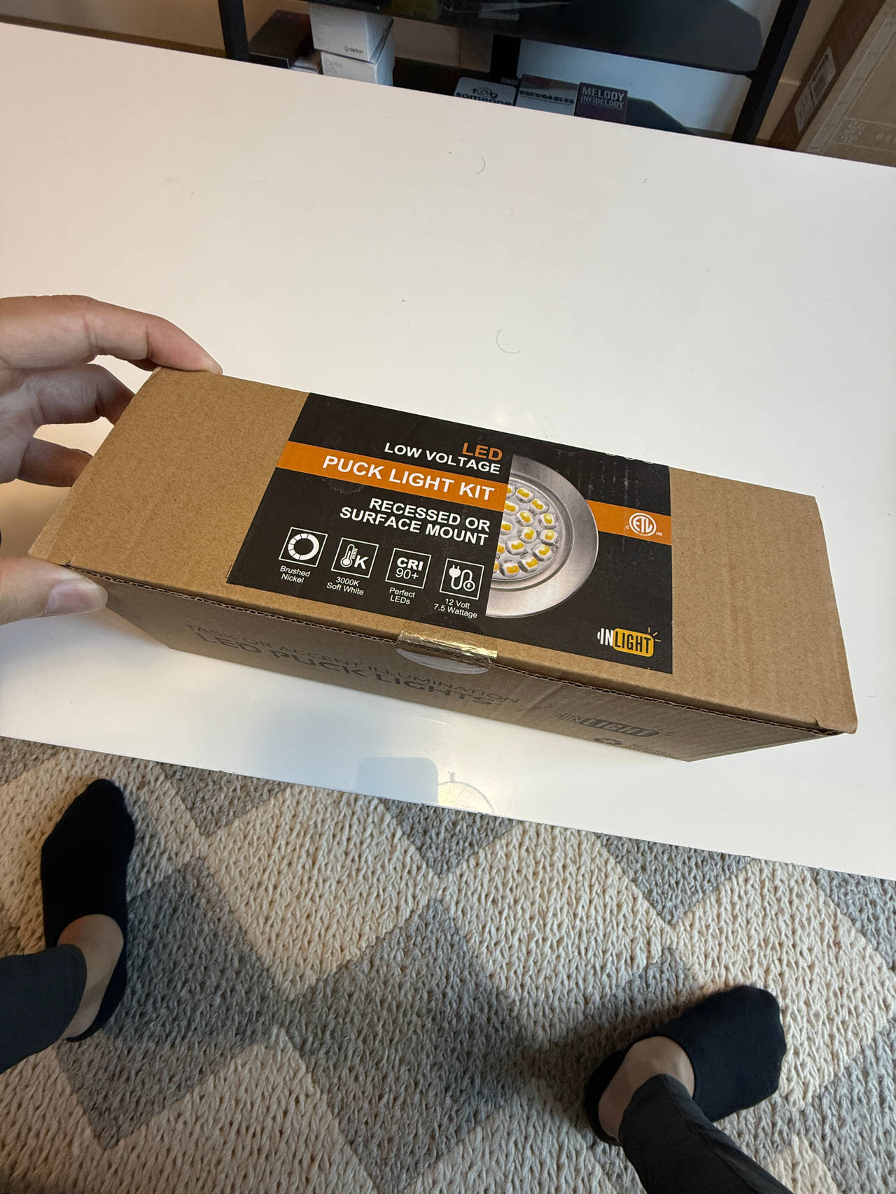 InLight LED Low Voltage Puck Light Kit (recessed or surface mount)