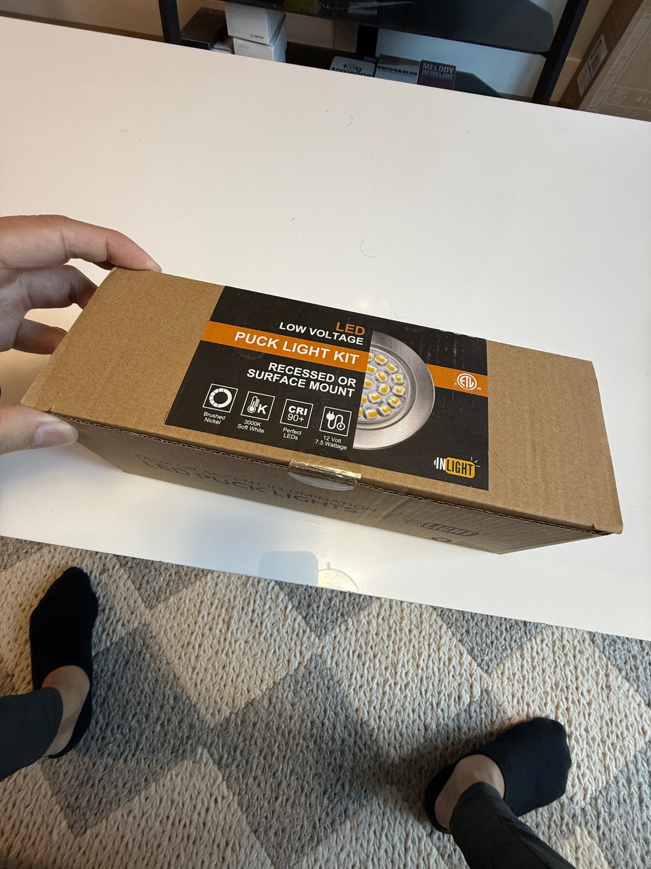 InLight LED Low Voltage Puck Light Kit (recessed or surface mount)