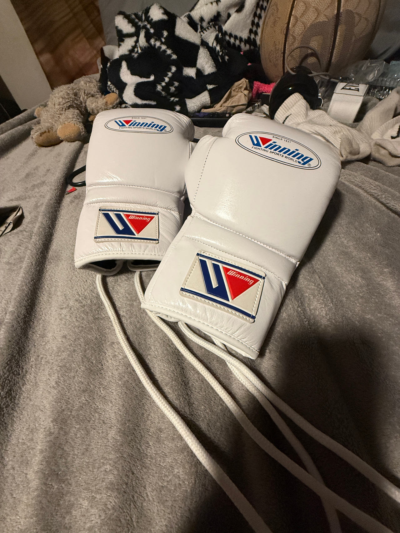 Winning Boxing Gloves