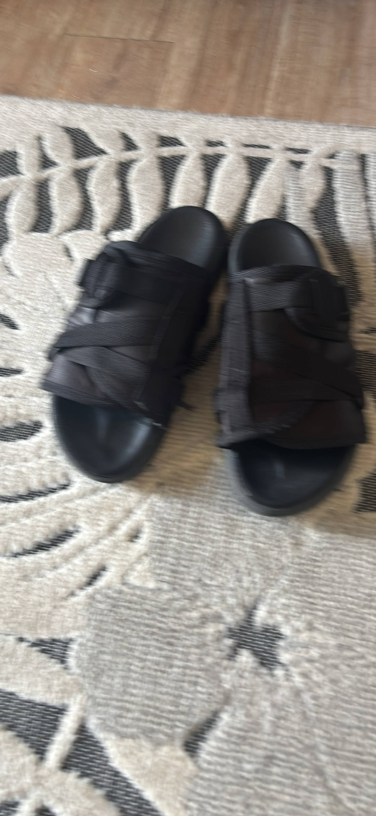 Draco slides 