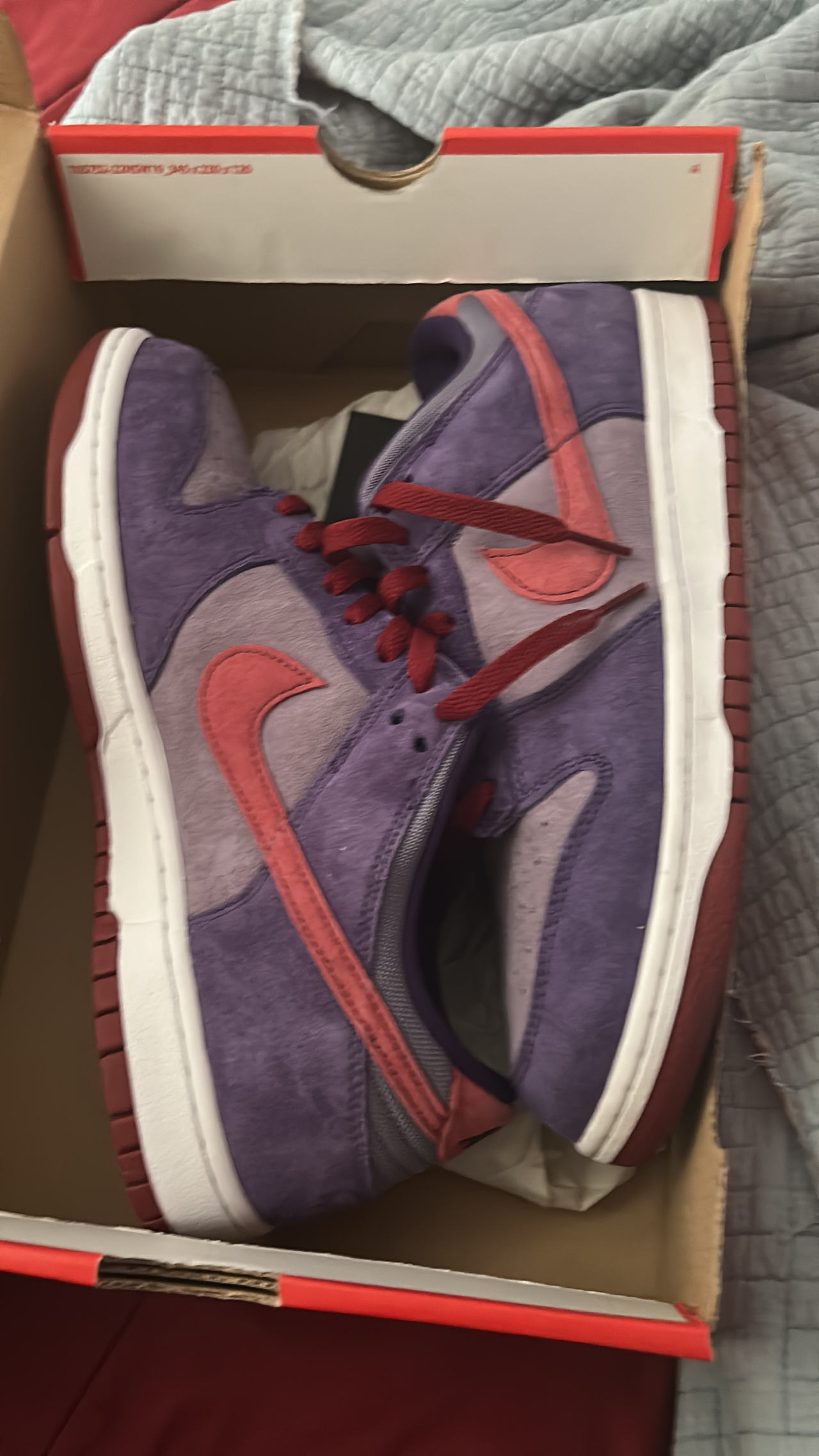 Nike Dunk Low Plum (2020)
