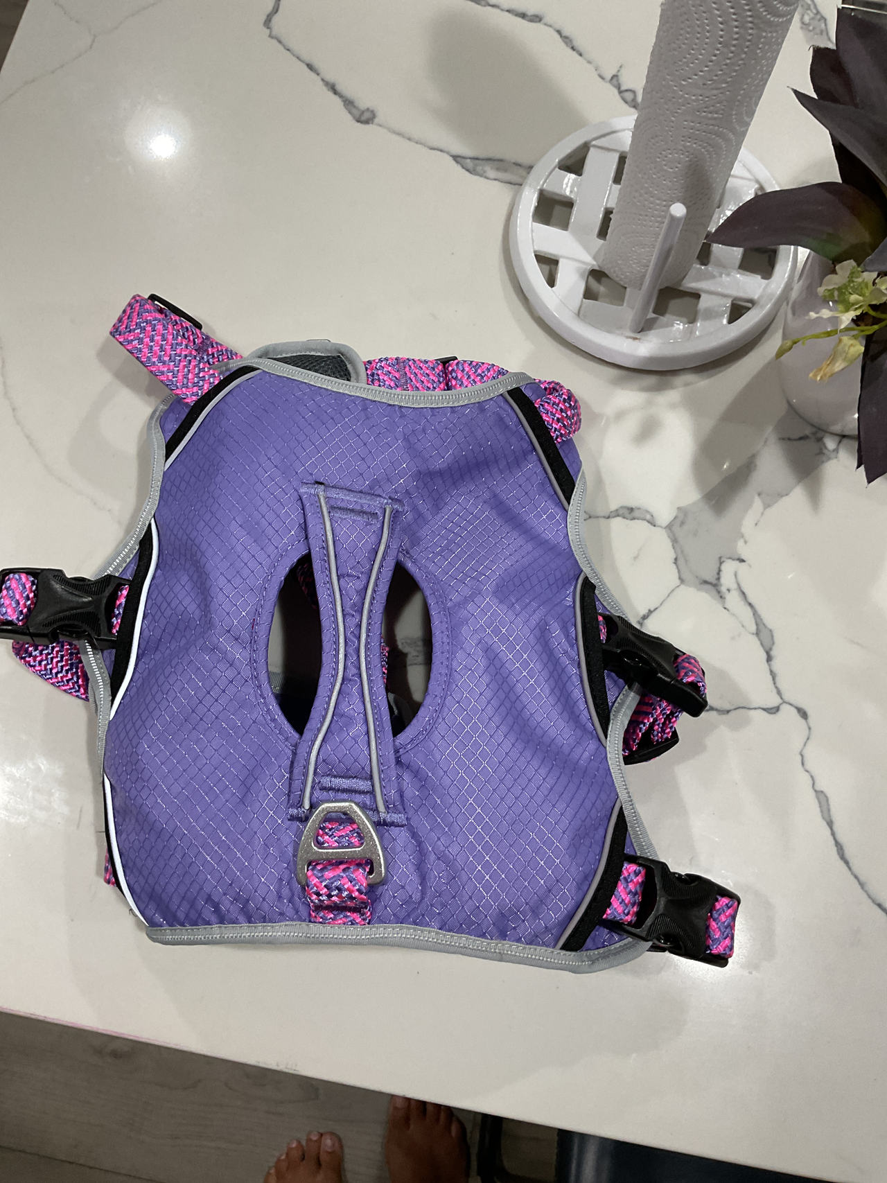 No Pull Dog Harness