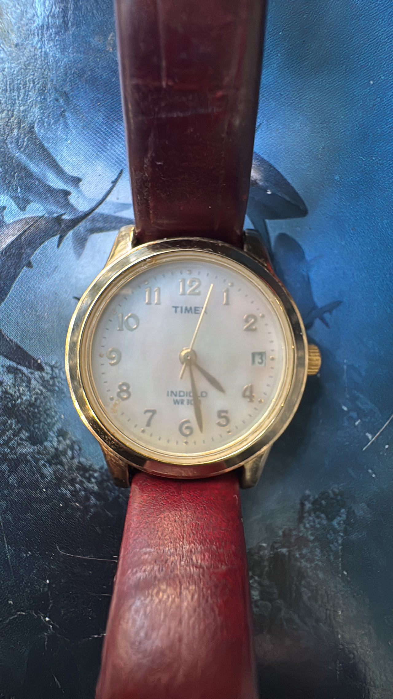Timex Indiglo WR 30M Date Watch